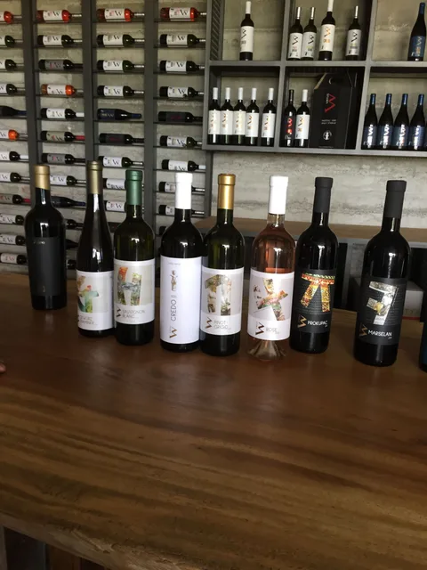 Flaše vina Virtus na degustacionom pultu vinarije