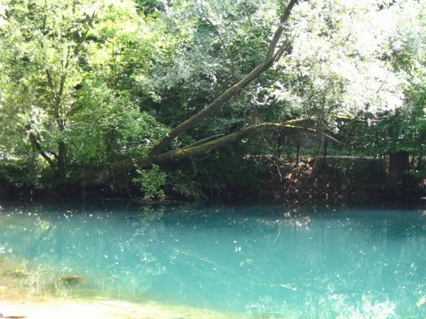 Tirkizna voda Vrela Mlave okružena šumom kod Žagubice